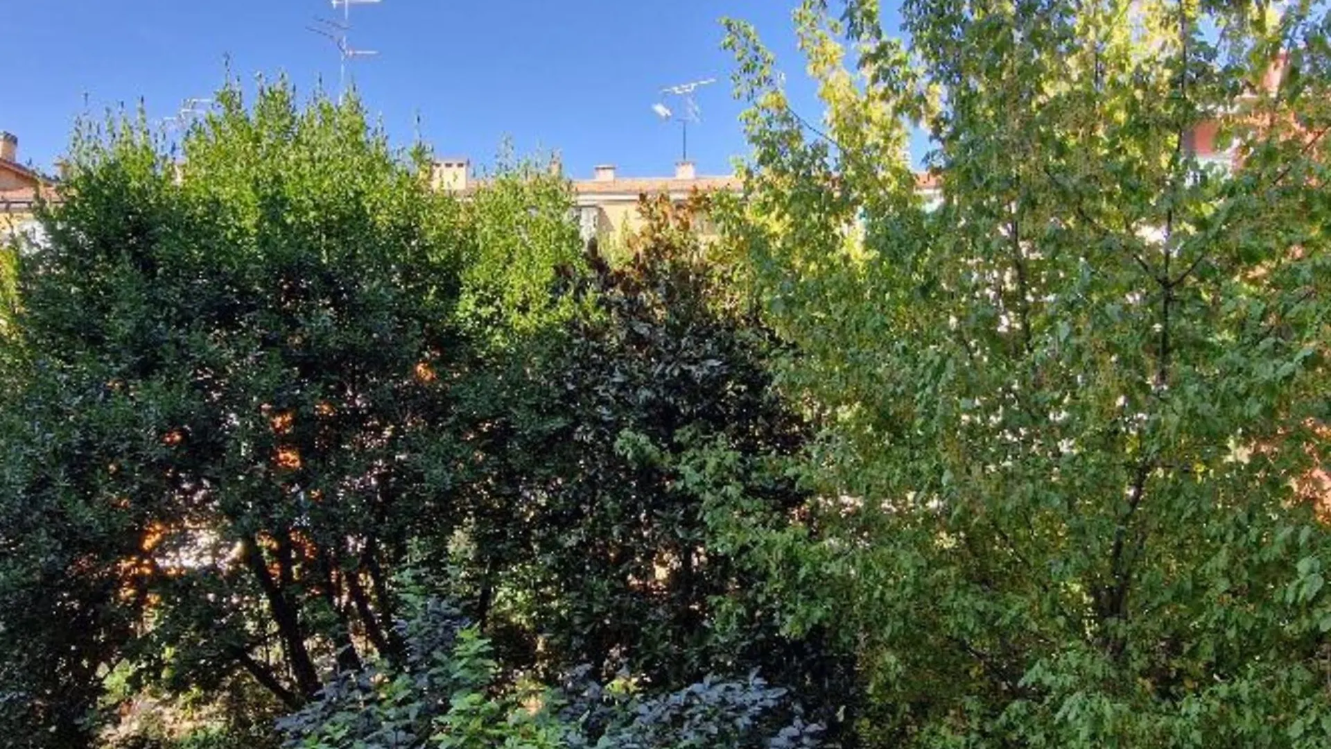 Stanza In Maggiore Rooms Bologna Guest house